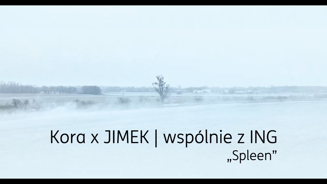 Kora JIMEK Spleen